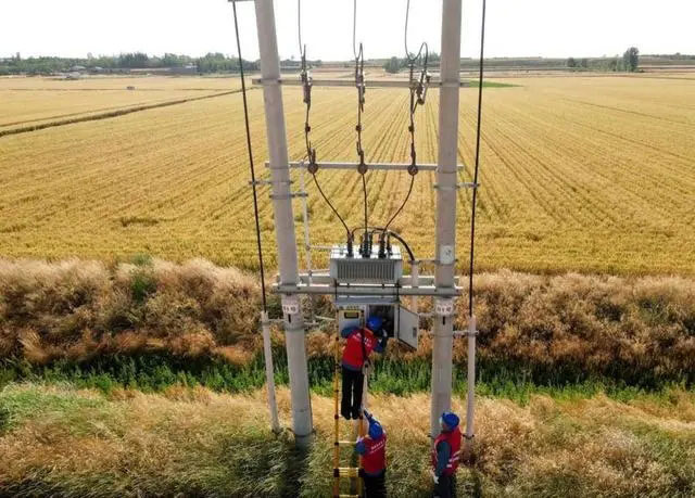 配電箱助力“電力?！报D農(nóng)民有了“電力?！碑a(chǎn)業(yè)發(fā)展質(zhì)效
