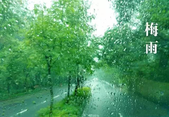 梅雨季節(jié)，如何解決配電箱回潮？給你支招